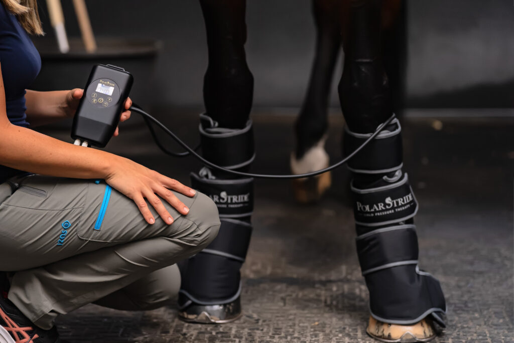 Polar Stride cold-compression recovery wraps fitted on a horse's front legs, with handler operating the control unit